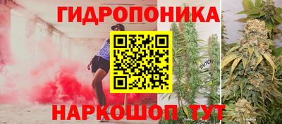 гашик Пыть-Ях