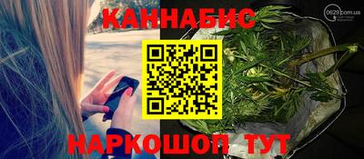 гашик Пыть-Ях