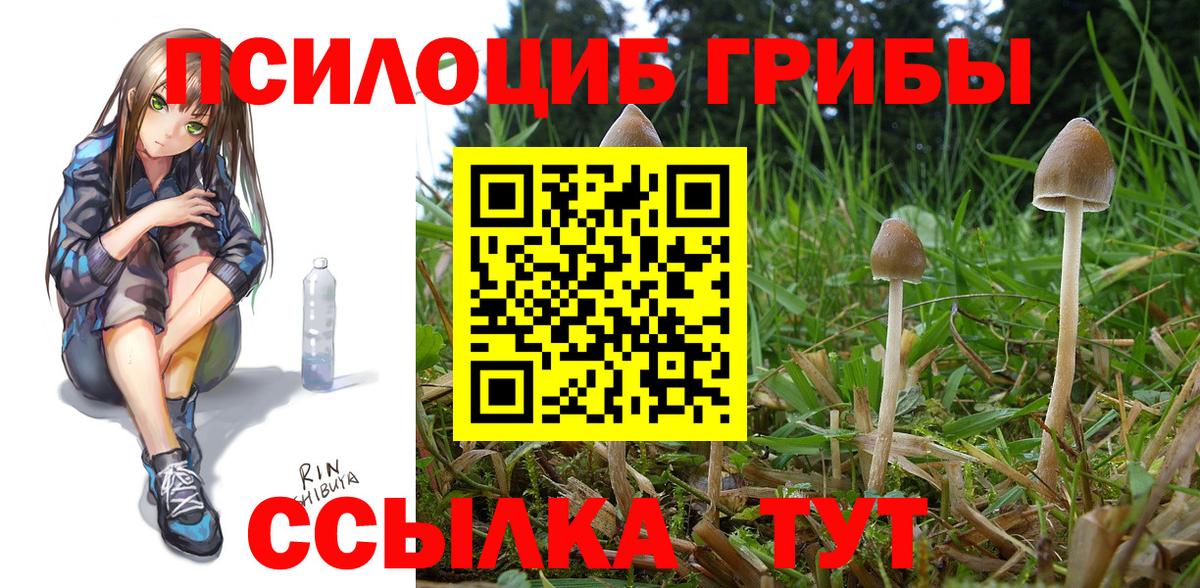 Галлюциногенные грибы прущие грибы Осинники