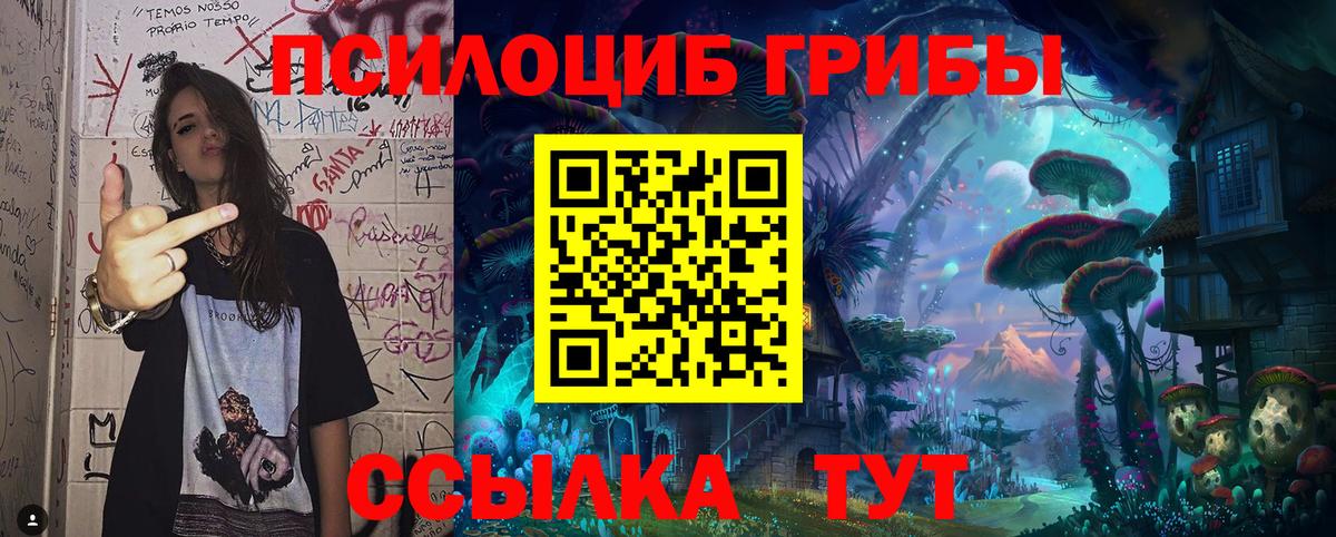 Галлюциногенные грибы MAGIC MUSHROOMS  Псилоцибиновые грибы мухоморы  Вход с VPN  Осинники 